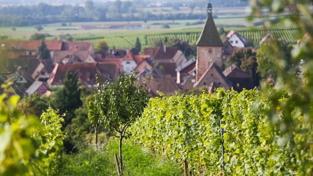 Domaine Marcel Deiss - Image 2 Domaine Marcel Deiss - Image 2